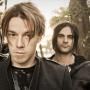 Sick Puppies
