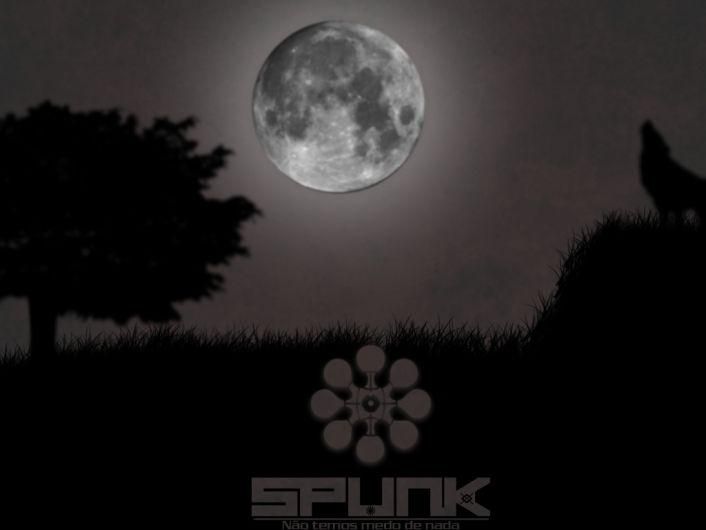 Spunk