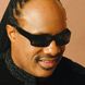Stevie Wonder
