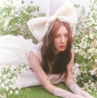 The Painted On The Moonlight (Instrumental)