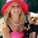 Sharpay's Fabulous Adventure