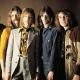 Savoy Brown