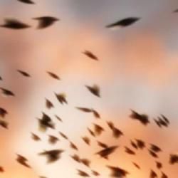 Photo of La Casa Azul