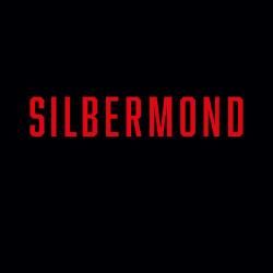 Foto de Silbermond