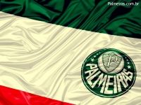 Palmeiras, o Meu Viver