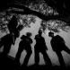 Coffinshakers