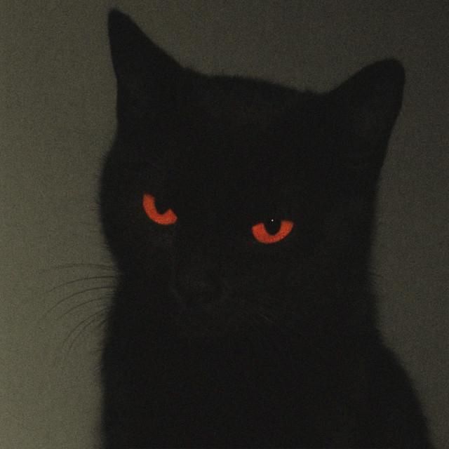 DeadLuve