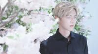 Baby Don't Cry (Chinese Version)