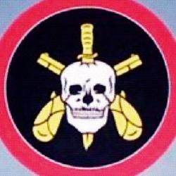 Foto de Tropa de Elite