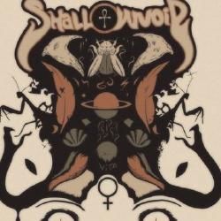 Photo of Shallow Void