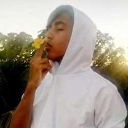 Foto de Marks Cytrous