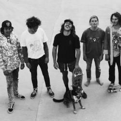 Foto de Vanilla Gorilla