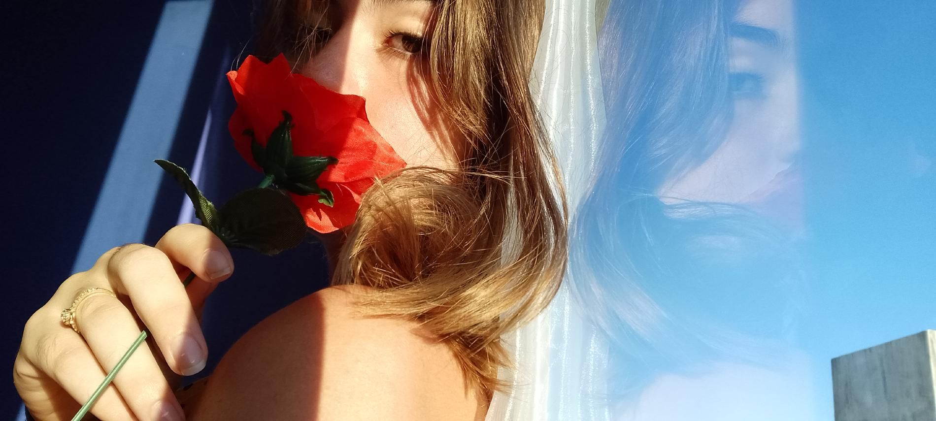 Vih Dama