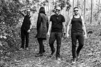 Black Crows
