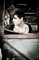 Metamorfose Ambulante