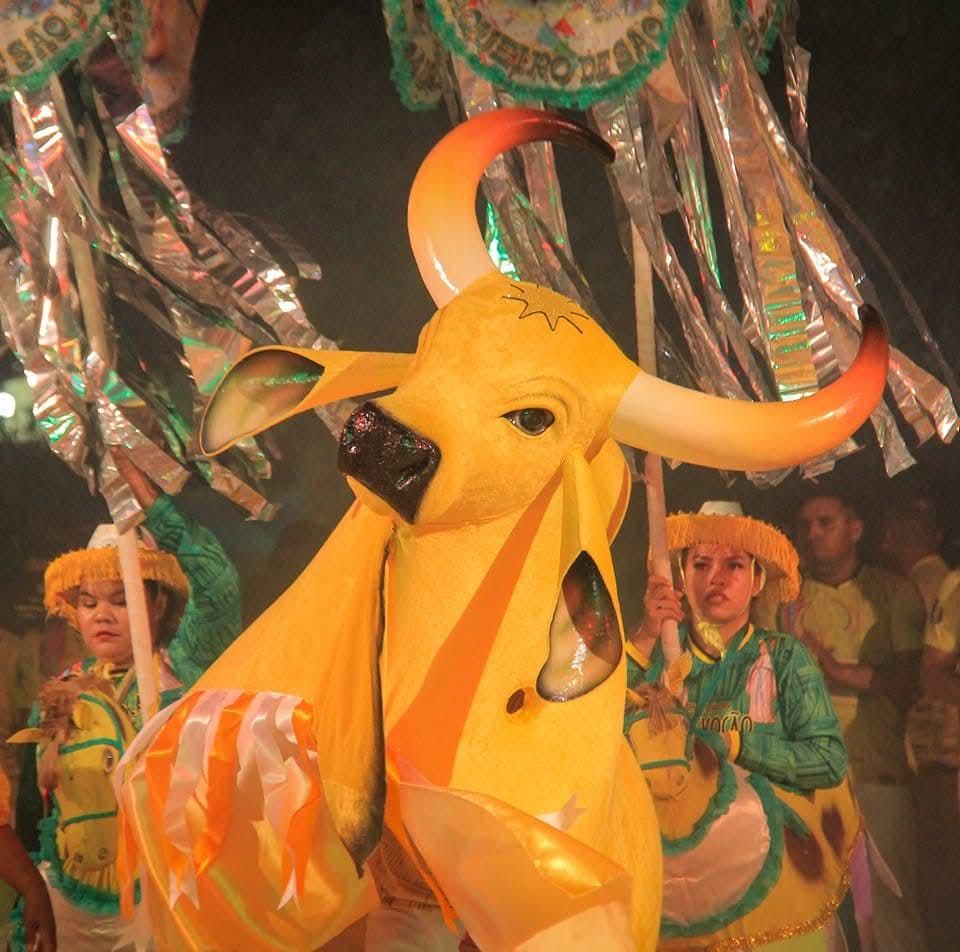 Boi bumba Espalha Emoção