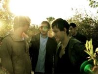 Crushed Like The Car