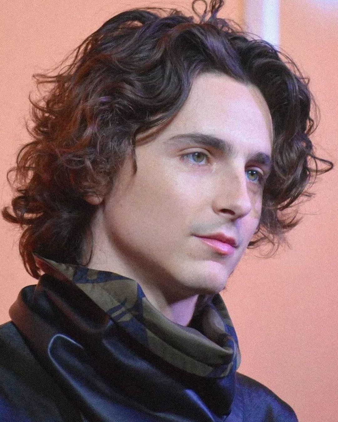 Timothée Chalamet