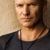 Capa da música "Shape Of My Heart", de Sting