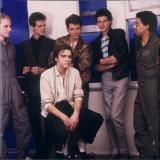 Imagem do artista Icehouse