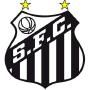GRCES Torcida Jovem do Santos FC