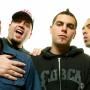 Alien Ant Farm