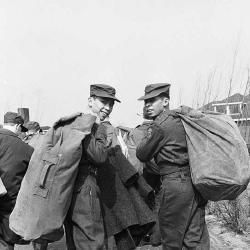 Foto de Blue Diamonds