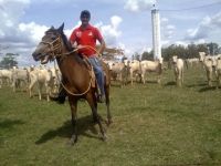 Evandro Diamant