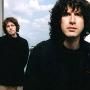 Super Furry Animals