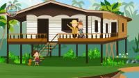 Amazônia É Um Paraíso