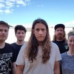 Photo of Whoopie Cat