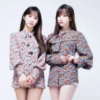 CocoSori