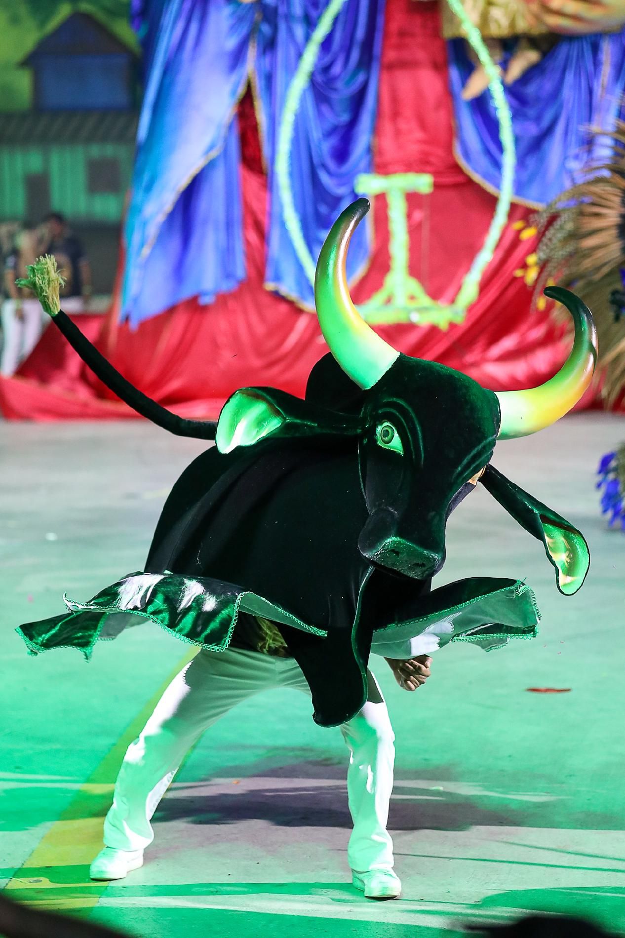 Boi Bumbá Garanhão