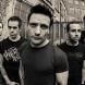 The Five Hundred