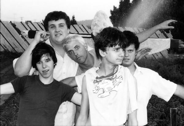 The Adolescents