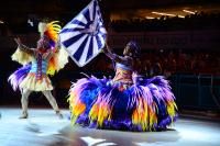 Samba Enredo 1972 - Ilu Ayê (Terra da Vida)