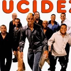 Foto de Grupo Lucidez