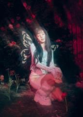 HWAA (火/花) (Chinese Version)