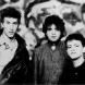 Icicle Works