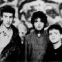 Icicle Works