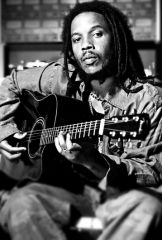 Stephen Marley