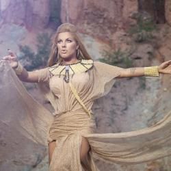 Foto de Seka Aleksić