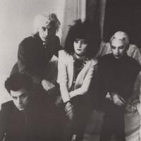 Siouxsie And The Banshees