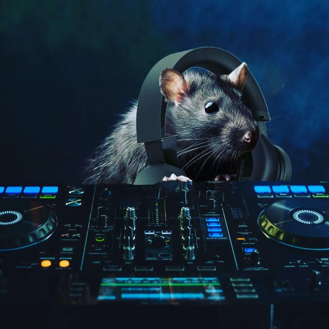 Bazooka Mouse