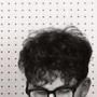 The Feelies