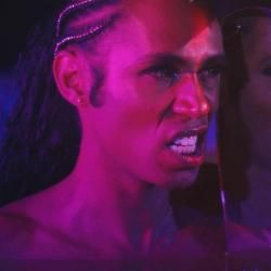 Foto de Siamese (BR)