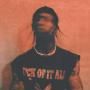 Travis Scott