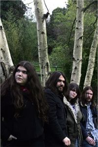 The Magic Numbers