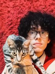 Cat Lover