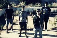Platonical Plague